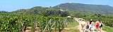 2005-09-04 11-03-50 Panorama